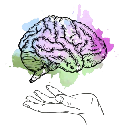 Connections WA logo, placeholder for Sandra Hartmann, Clinical Lead Psychologist